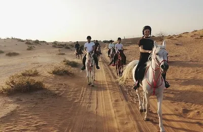Private Desert Horse Riding Experience In Dubai