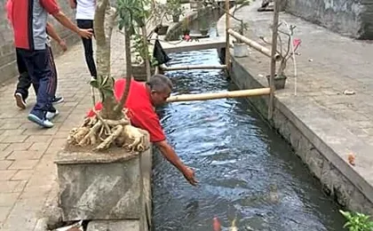 Bali Livin,tayehomestay