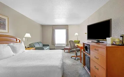 Prairie Crest Red Deer by IHG