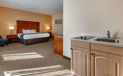 Comfort Inn Apalachin / Binghamton W Route 17