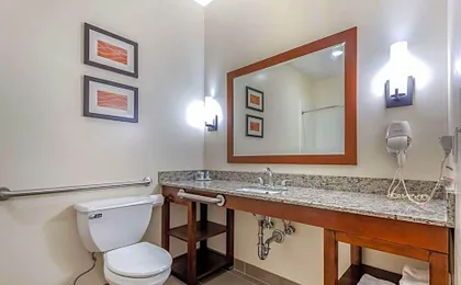Comfort Inn Apalachin / Binghamton W Route 17