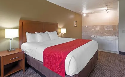 Comfort Inn Hobart-Merrillville I-65