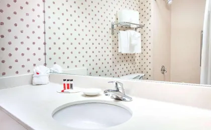 ORLANDO PALMS HOTEL (EX-RAMADA BY WYNDHAM ORLANDO FLORIDA MALL)