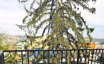 Agusta Hotel, Garden & SPA