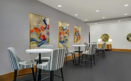 Holiday Inn Express Houston Galleria Area By IHG