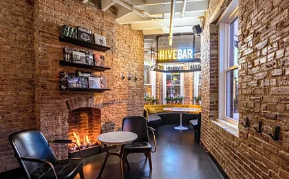 Hotel Hive