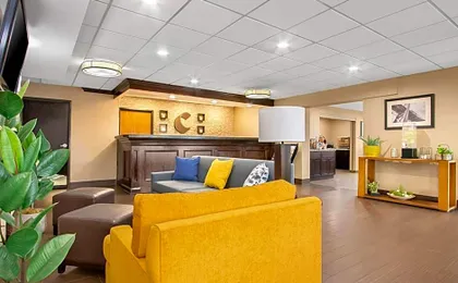 Comfort Inn Detroit Downtown
