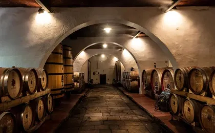 Agriturismo Fattoria Lavacchio