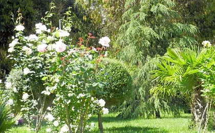 Il Nibbio Reale Country House