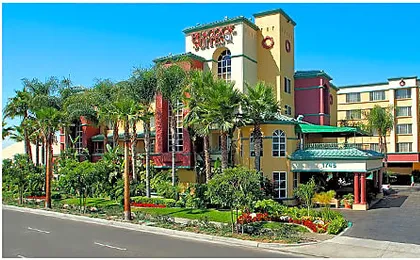 Peacock Suites