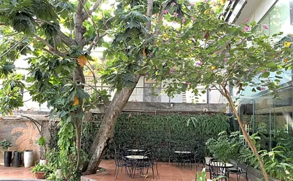 Muong Thanh Holiday Vung Tau Hotel