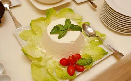 HOTEL CAMELIA