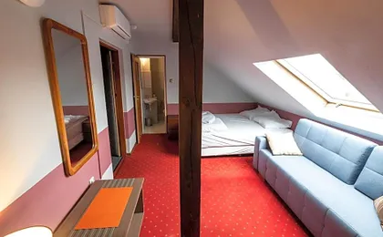 Hotel Podkowa