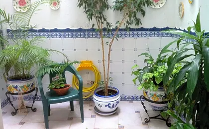 Hostal Dianes