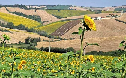 B&B I Pini Di Storaco