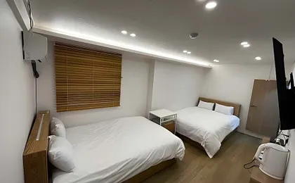 Myeong-dong (Chungmuro) JIN FOREST Inn