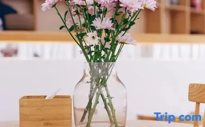 Tusu Zhenxuan·Stay Hotel (Shanghai Xintiandi Tianzifang Branch)