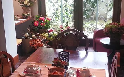 Casa Calicantus