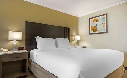 Best Western Plus Orange County Airport North