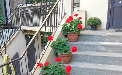 Cit'Hotel Aéro-Hotel