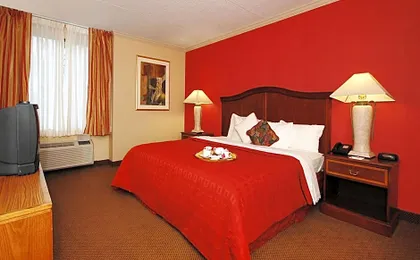 Plaza Inn & Suites
