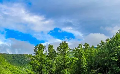 Smoketree Lodge