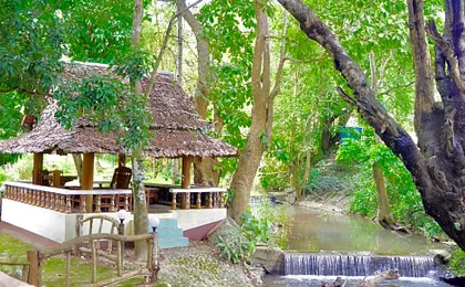 The Creek Garden Resort