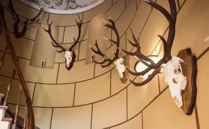 Pakruojis Manor's Palace Boutique Hotel