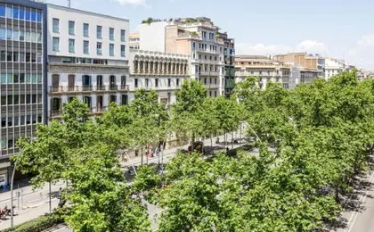 Sweett - Paseo de Gracia - City Centre