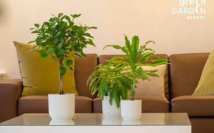Green Garden Smart Resort