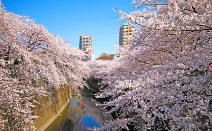 Sotetsu Fresa Inn Tokyo-Kanda
