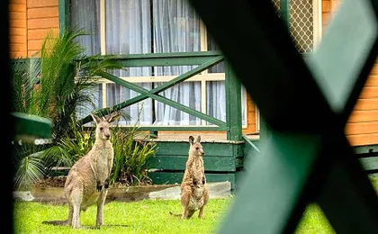 BIG4 Moruya Heads Easts Dolphin Beach Holiday Park