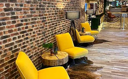 Harz Hotel & Spa Seela