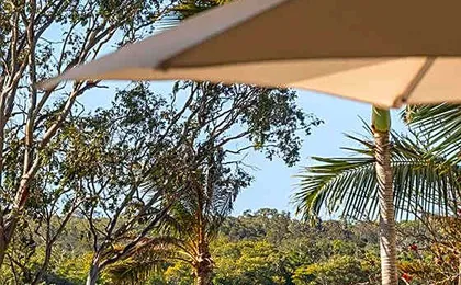 Regatta Noosa