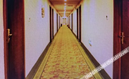 GreenTree Inn Xinjiang Uighur Korla City Bavaria Bus Station Beishan Road Express Hotel