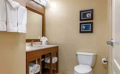 Comfort Inn & Suites Tifton