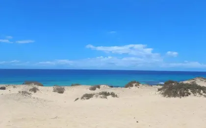 LACASA Apartments Cotillo