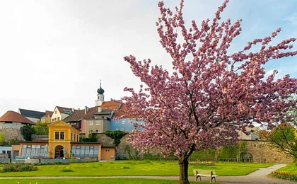 Hotel Forstinger - Boutique Hotel Schärding