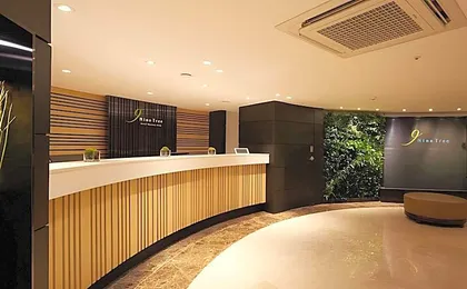 Nine Tree by Parnas Seoul Myeongdong 1