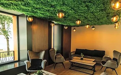 Hotel Salis