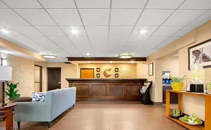Comfort Inn Detroit Downtown