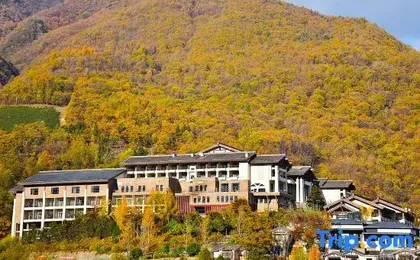 Arcadia International Forest Hotel