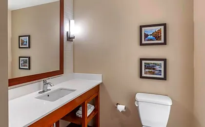 Comfort Inn & Suites Clarkston Pine Knob Area