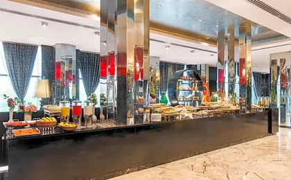 Radisson Blu Hotel New Delhi Paschim Vihar