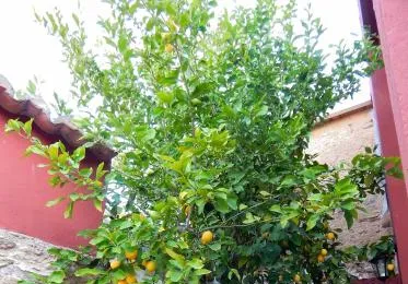 Casa Rural La Perra Gorda