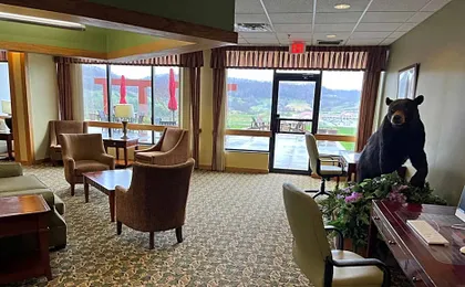 Days Inn & Suites by Wyndham Sutton Flatwoods