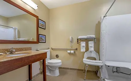 Comfort Inn & Suites Orangeburg