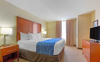 Comfort Suites Fredericksburg South