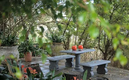 Serendipity Country House & Restaurant
