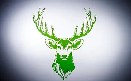 Bestharzinn